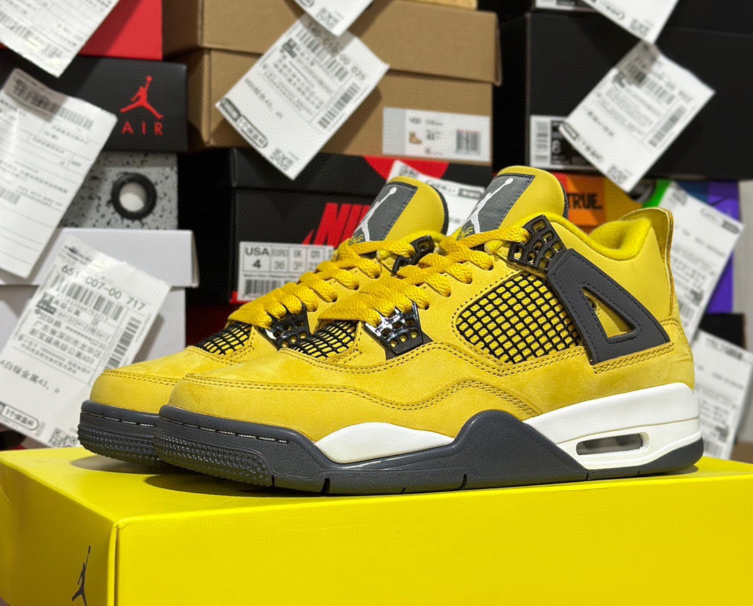 Nike Jordan shoe